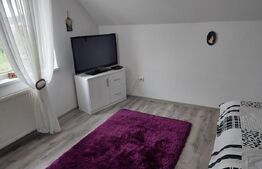 Casa spatioasa, pe teren de 680 mp, zona Centura