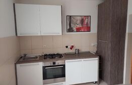 Casa spatioasa, pe teren de 680 mp, zona Centura