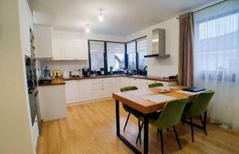 Casa pe un nivel, 3 dormitoare, 117 mp utili, Viisoara