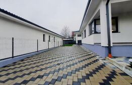 Casa pe un nivel, 3 dormitoare, 117 mp utili, Viisoara