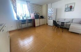 Apartament de 3 camere, 99 mp, decomandat, Calea Moldovei