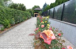 Casa cu o suprafata utila de 286mp, teren cu 582 mp, zona Libertatii