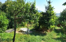 Casa 3 camere, 129mp, zona Viisoara , teren 1240mp