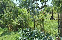 Casa 3 camere, 129mp, zona Viisoara , teren 1240mp