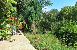 Casa 3 camere, 129mp, zona Viisoara , teren 1240mp