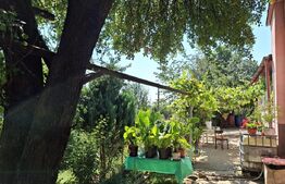 Casa 3 camere, 129mp, zona Viisoara , teren 1240mp