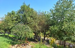 Casa 3 camere, 129mp, zona Viisoara , teren 1240mp