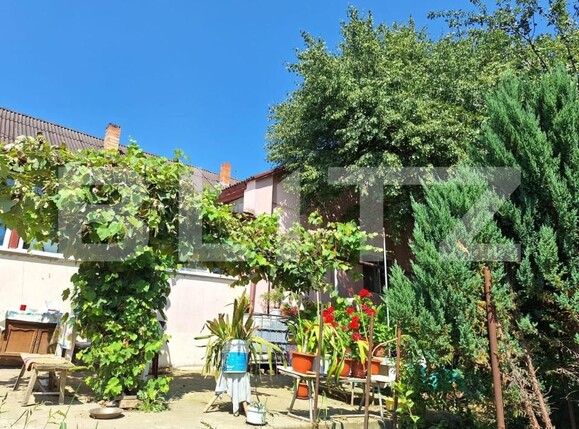 Casa de vânzare 4 camere Viișoara - 147558CV | BLITZ Bistriţa | Poza2