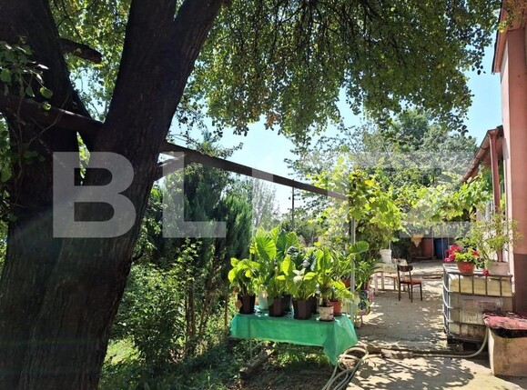 Casa de vânzare 4 camere Viișoara - 147558CV | BLITZ Bistriţa | Poza9