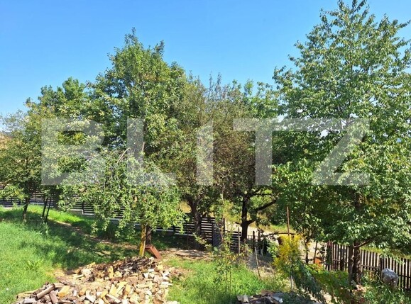 Casa de vânzare 4 camere Viișoara - 147558CV | BLITZ Bistriţa | Poza7