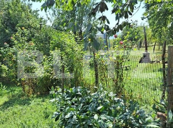 Casa de vânzare 4 camere Viișoara - 147558CV | BLITZ Bistriţa | Poza15