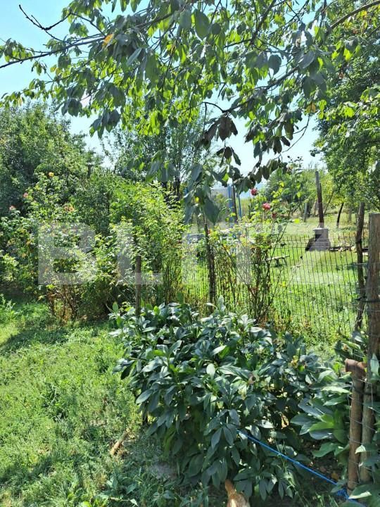 Casa de vânzare 4 camere Viișoara - 147558CV | BLITZ Bistriţa | Poza14