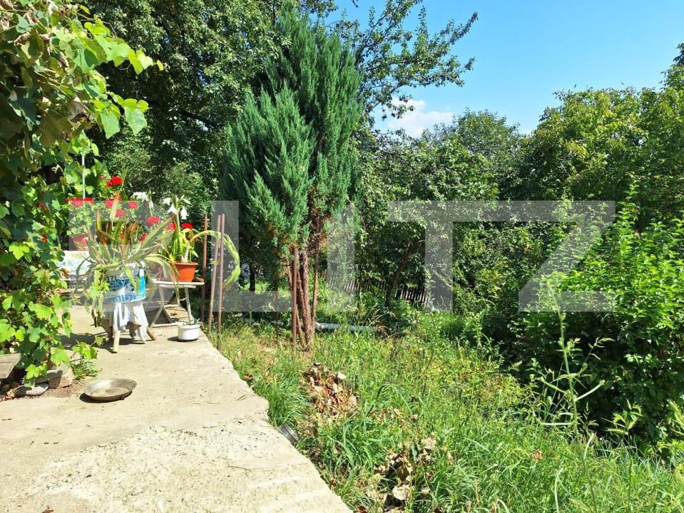 Casa de vânzare 4 camere Viișoara - 147558CV | BLITZ Bistriţa | Poza12