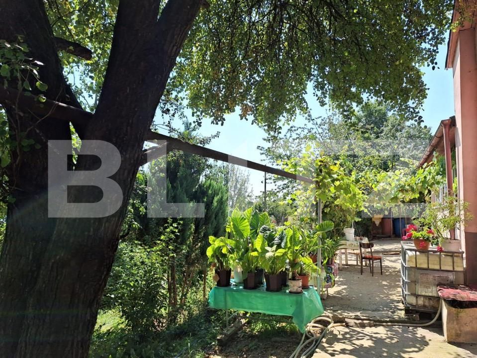 Casa de vânzare 4 camere Viișoara - 147558CV | BLITZ Bistriţa | Poza9