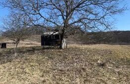 Livadă de nuci – 2 ha | Acces DN17 | Investiție profitabilă - Cristur