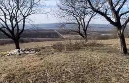 Livadă de nuci – 2 ha | Acces DN17 | Investiție profitabilă - Cristur