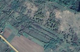 20.000mp de Livada, zona Cristur. acces facil din DN 17 