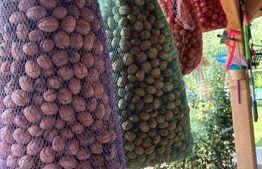 Livadă de nuci – 2 ha | Acces DN17 | Investiție profitabilă - Cristur