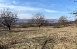 Livadă de nuci – 2 ha | Acces DN17 | Investiție profitabilă - Cristur