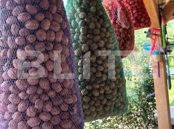 Teren de vânzare Exterior Vest - 147587TV | BLITZ Bistriţa | Poza8