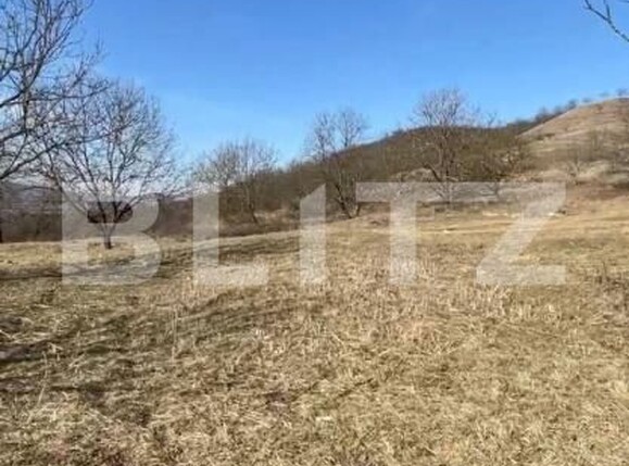 Teren de vânzare Exterior Vest - 147587TV | BLITZ Bistriţa | Poza4