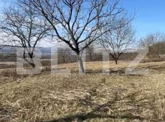 Teren de vânzare Exterior Vest - 147587TV | BLITZ Bistriţa | Poza5