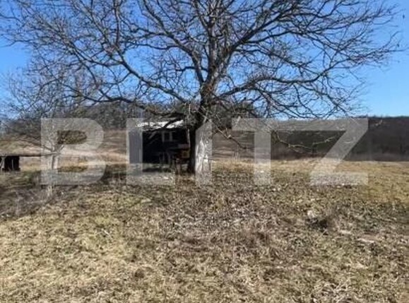 Teren de vânzare Exterior Vest - 147587TV | BLITZ Bistriţa | Poza1