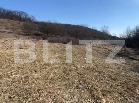 Teren de vânzare Exterior Vest - 147587TV | BLITZ Bistriţa | Poza2