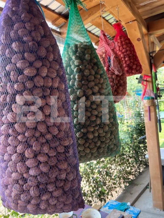 Teren de vânzare Exterior Vest - 147587TV | BLITZ Bistriţa | Poza8