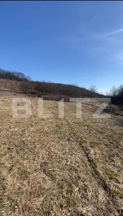 Teren de vânzare Exterior Vest - 147587TV | BLITZ Bistriţa | Poza2