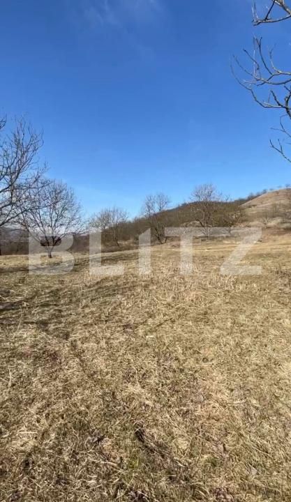 Teren de vânzare Exterior Vest - 147587TV | BLITZ Bistriţa | Poza4