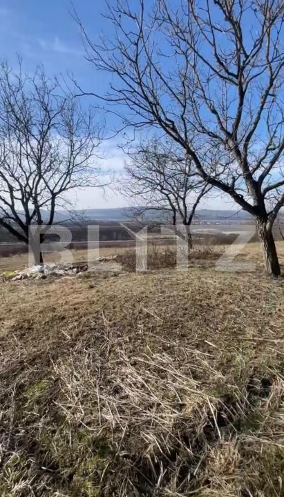 Teren de vânzare Exterior Vest - 147587TV | BLITZ Bistriţa | Poza6