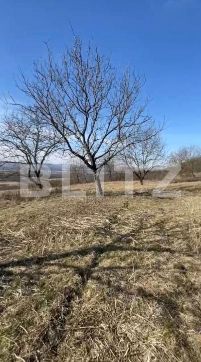 Teren de vânzare Exterior Vest - 147587TV | BLITZ Bistriţa | Poza5