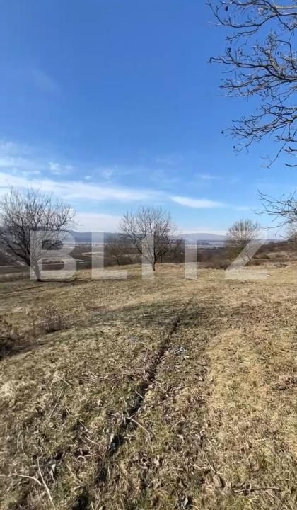 Teren de vânzare Exterior Vest - 147587TV | BLITZ Bistriţa | Poza3