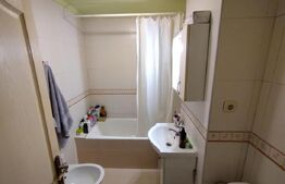 Apartament 2 camere, 56mp, decomandat, parter, zona Han