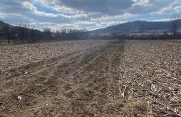 Teren extravilan, 5 arii Saratel