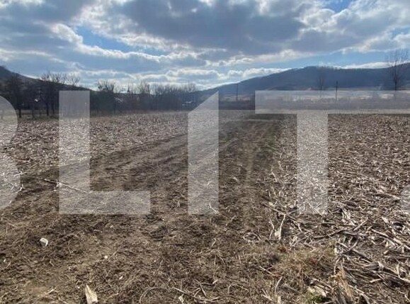 Teren de vânzare Periferie - 147693TV | BLITZ Bistriţa | Poza1