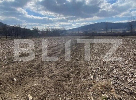 Teren de vânzare Periferie - 147693TV | BLITZ Bistriţa | Poza1