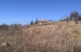 Teren intravilan, 600mp Valea Jelnii 