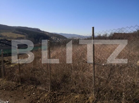 Teren de vânzare Sud-Vest - 147725TV | BLITZ Bistriţa | Poza1
