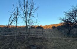 Teren Intravilan, 65000mp, Valea Slatinitei