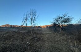 Teren Intravilan, 65000mp, Valea Slatinitei