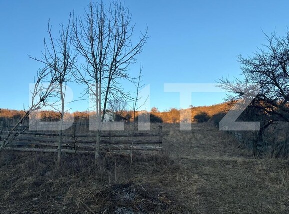 Teren de vânzare Unirea - 147831TV | BLITZ Bistriţa | Poza2