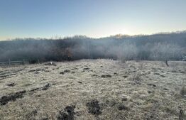 Teren intravilan, Valea Slatinitei, 1000mp