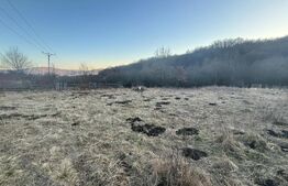 Teren intravilan, Valea Slatinitei, 1000mp