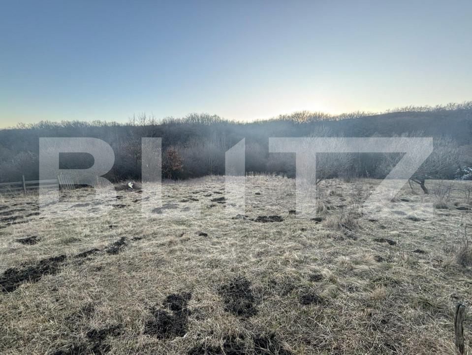 Teren de vânzare Unirea - 147832TV | BLITZ Bistriţa | Poza2