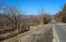 Teren de 30 de ari, Dumitra, 5km de Bistrita