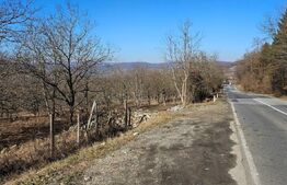 Teren de 30 de ari, Dumitra, 5km de Bistrita