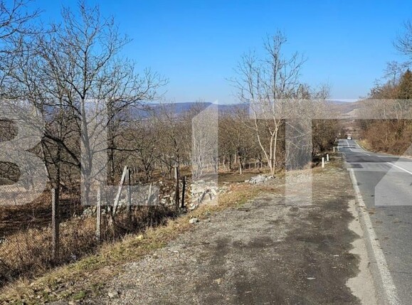 Teren de vânzare Nord - 147833TV | BLITZ Bistriţa | Poza2