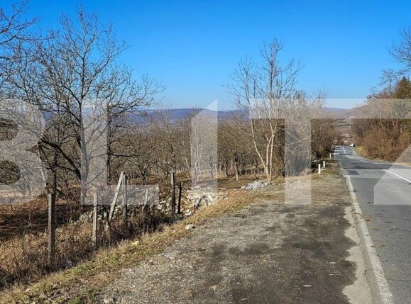 Teren de vânzare Nord - 147833TV | BLITZ Bistriţa | Poza1